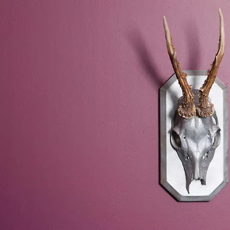 Sure By Western מלון 3*