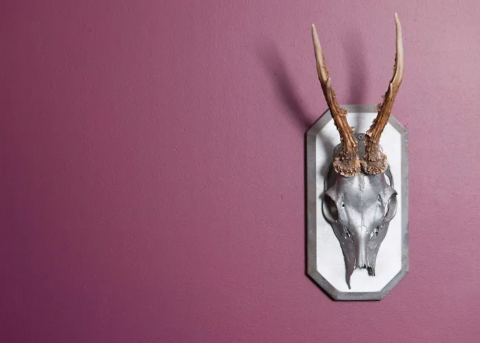 Sure By Western Hotel 3*